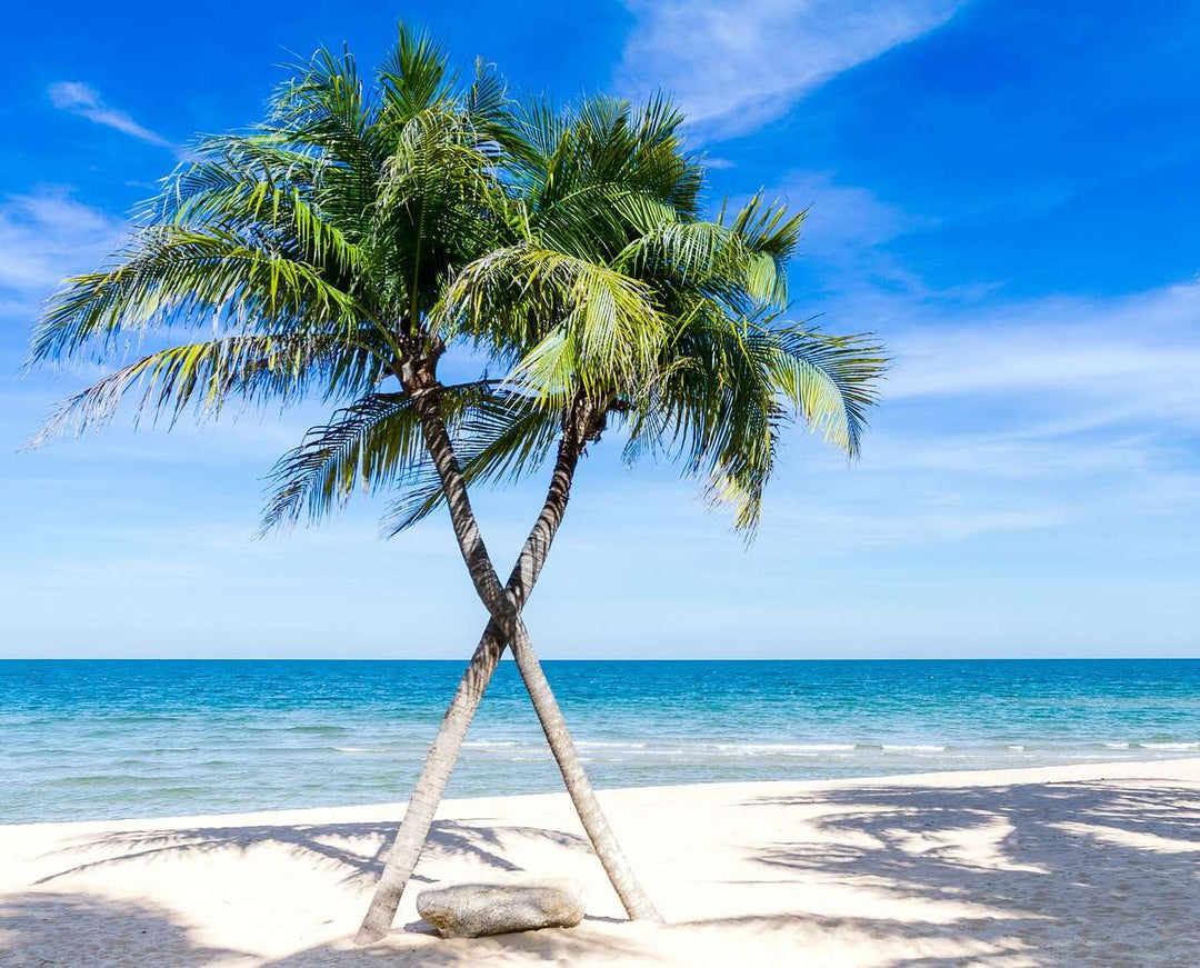 Palmen am Strand Diamond Painting mit Meer und hellem Sand