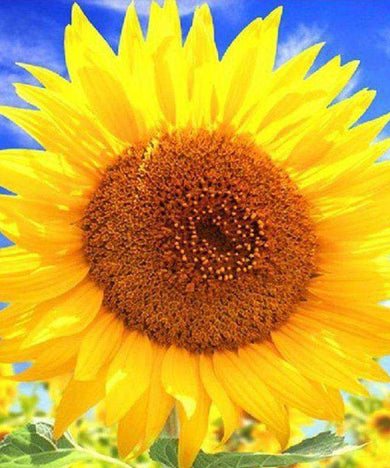 Große Sonnenblume Diamond Painting mit gelben Blütenblättern