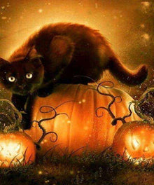 Halloween Katze Diamond Painting mit Kürbissen