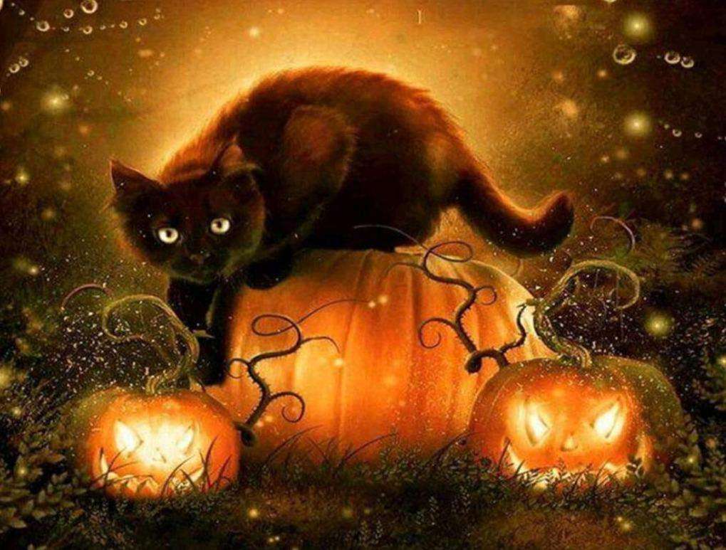 Halloween Katze Diamond Painting mit Kürbissen