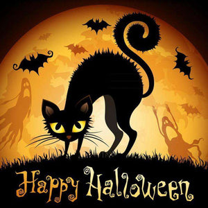 Happy Halloween Katze Diamond Painting mit Fledermäusen und Mond