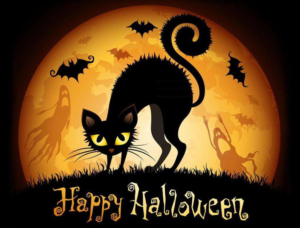 Happy Halloween Katze Diamond Painting mit Fledermäusen und Mond