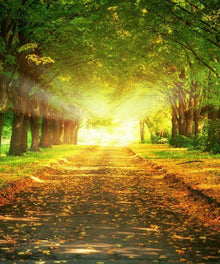 Spaziergang im Herbst - Diamond Painting Waldlandschaft