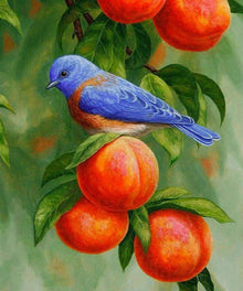 Blauer Herbstvogel Diamond Painting mit orangefarbenen Früchten