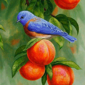 Blauer Herbstvogel Diamond Painting mit orangefarbenen Früchten