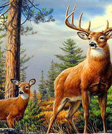 Hirsche im Wald Diamond Painting mit Hirschpaar und Bäumen