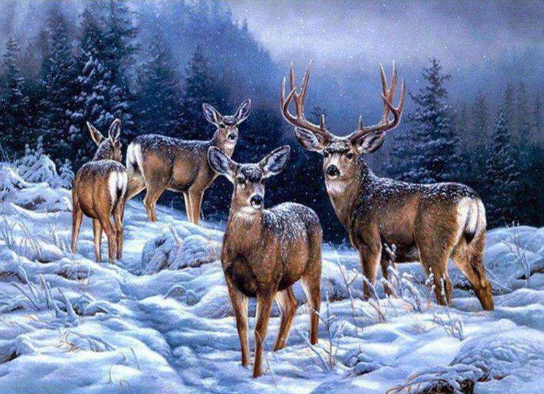 Hirsche im Schnee Diamond Painting mit Winterwald