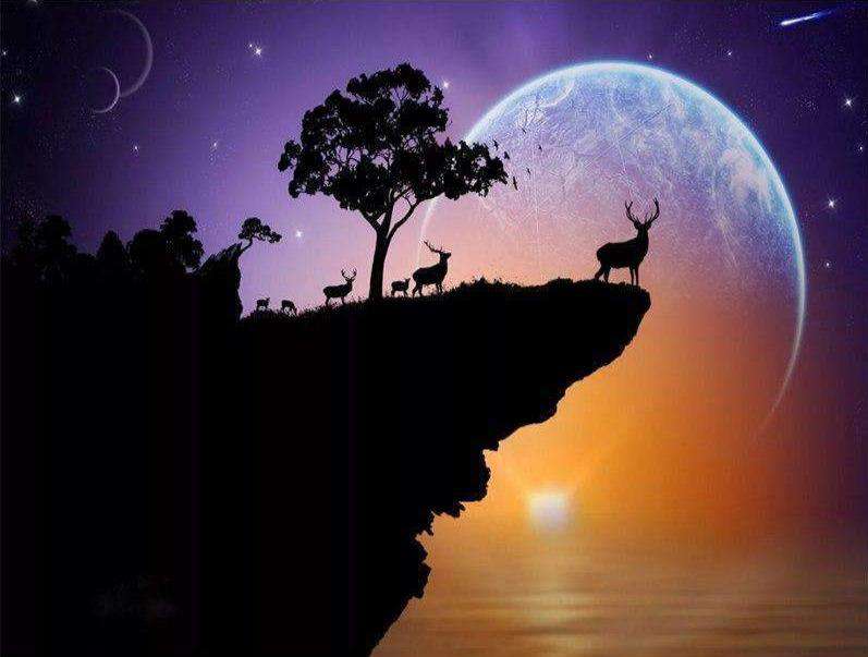 Hirsch auf Klippe Diamond Painting mit Mond und Baum