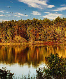 See im Herbst Diamond Painting mit Waldspiegelung