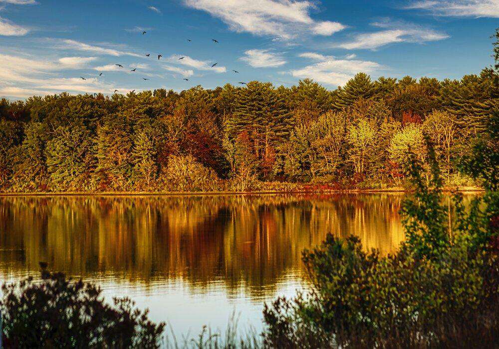 See im Herbst Diamond Painting mit Waldspiegelung