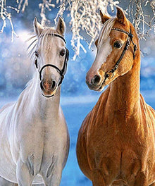 Weißes und braunes Pferd Winter Diamond Painting