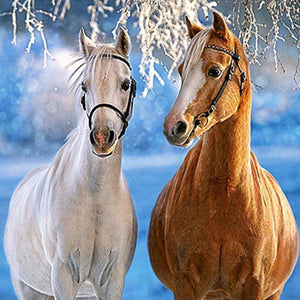 Weißes und braunes Pferd Winter Diamond Painting