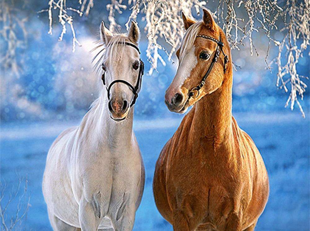 Weißes und braunes Pferd Winter Diamond Painting