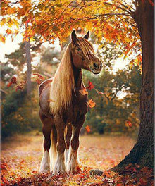 Braunes Pferd im Herbst Diamond Painting mit Laub und Waldweg