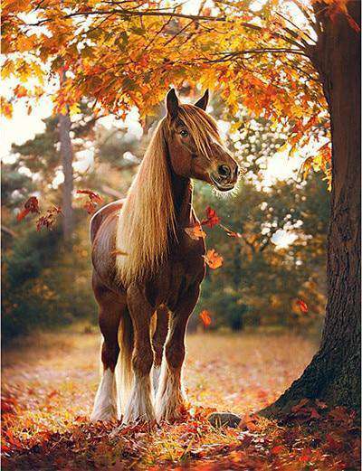 Braunes Pferd im Herbst Diamond Painting mit Laub und Waldweg