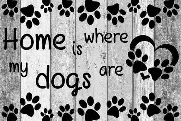 Home Is Where My Dogs Are Diamond Painting Hundepfoten