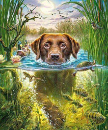 Hund im Wasser mit Fischen Diamond Painting