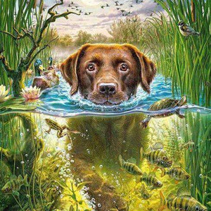 Hund im Wasser mit Fischen Diamond Painting