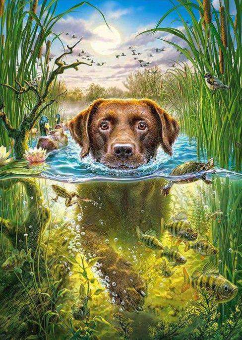 Hund im Wasser mit Fischen Diamond Painting