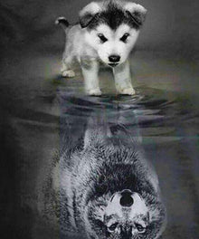 Hund Wolf Reflexion Diamond Painting mit Wasserspiegelung