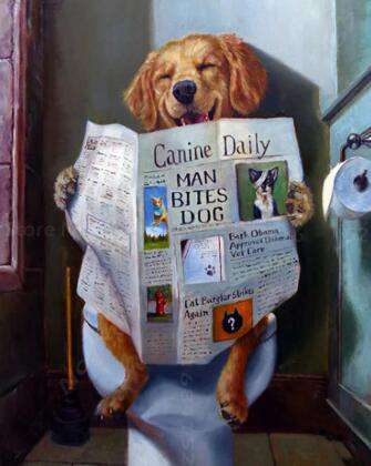Hund auf der Toilette Diamond Painting