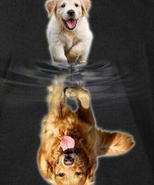 Hund Reflexion Diamond Painting mit Wasserspiegelung