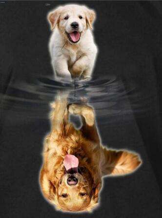 Hund Reflexion Diamond Painting mit Wasserspiegelung