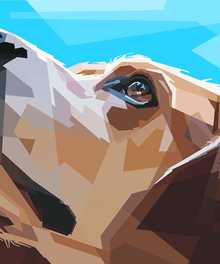 Hund schaut nach oben Diamond Painting