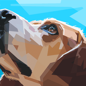 Hund schaut nach oben Diamond Painting