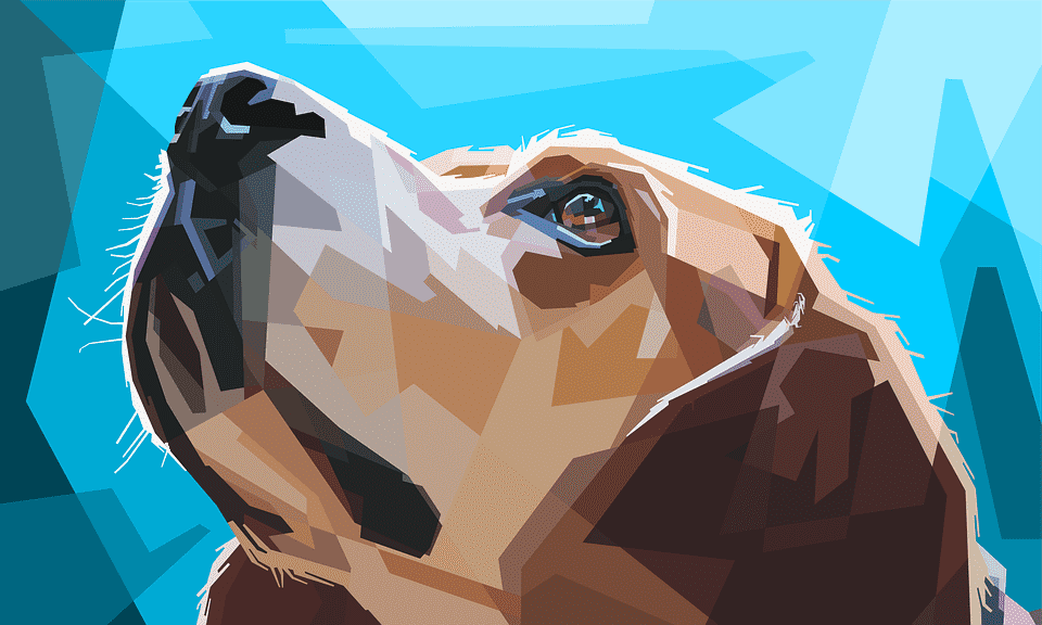 Hund schaut nach oben Diamond Painting