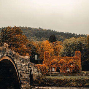 Haus am Wasser Diamond Painting Brücke und Herbstwald
