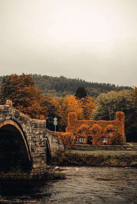 Haus am Wasser Diamond Painting Brücke und Herbstwald
