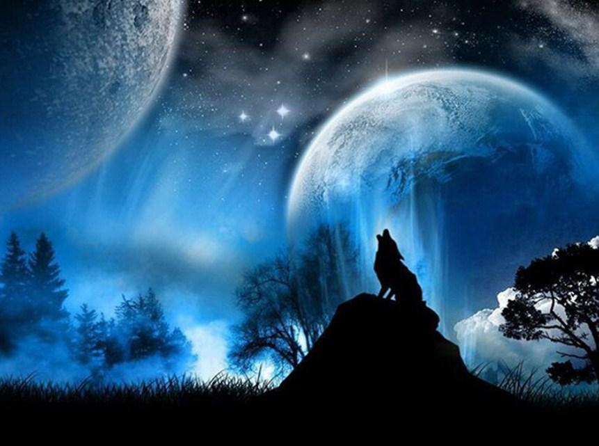 Wolf in der Nacht Diamond Painting Mondlicht