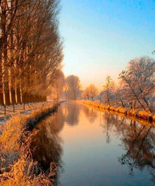 Kanal am Morgen Diamond Painting Landschaft mit Baumallee