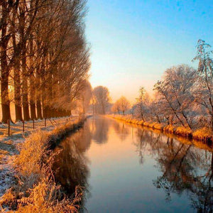 Kanal am Morgen Diamond Painting Landschaft mit Baumallee