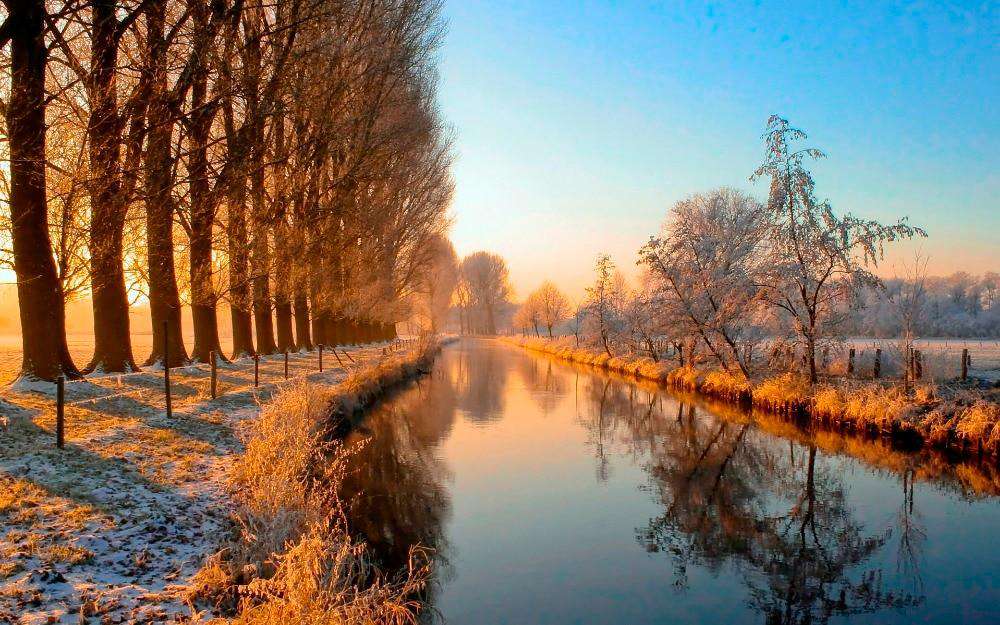 Kanal am Morgen Diamond Painting Landschaft mit Baumallee