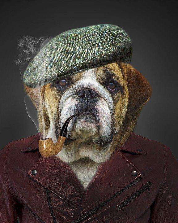 Karikatur-Hund Diamond Painting mit Mütze
