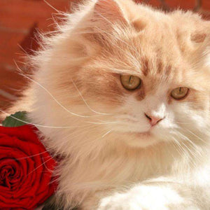 Katzenporträt mit Rose Diamond Painting helle Katze