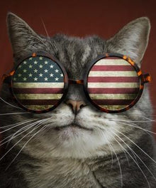 Katze mit US-Flaggenbrille Diamond Painting
