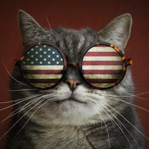 Katze mit US-Flaggenbrille Diamond Painting