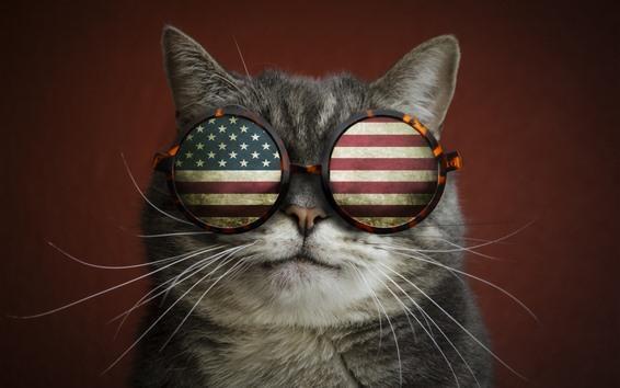Katze mit US-Flaggenbrille Diamond Painting