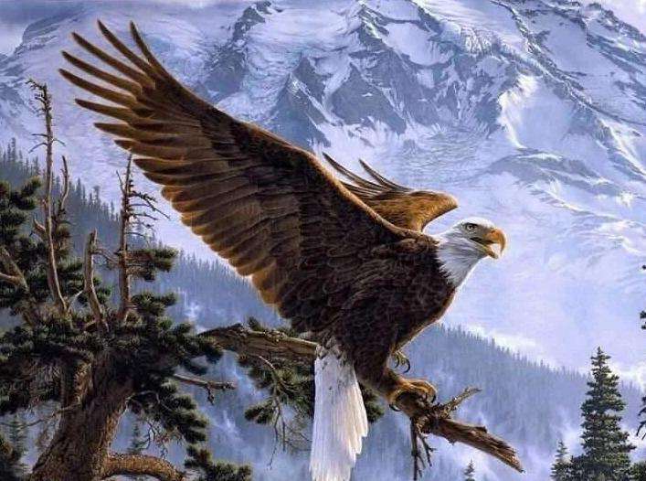 Kaiseradler in den Bergen Diamond Painting