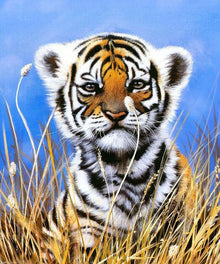 Kleiner neugieriger Tiger Diamond Painting
