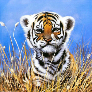 Kleiner neugieriger Tiger Diamond Painting
