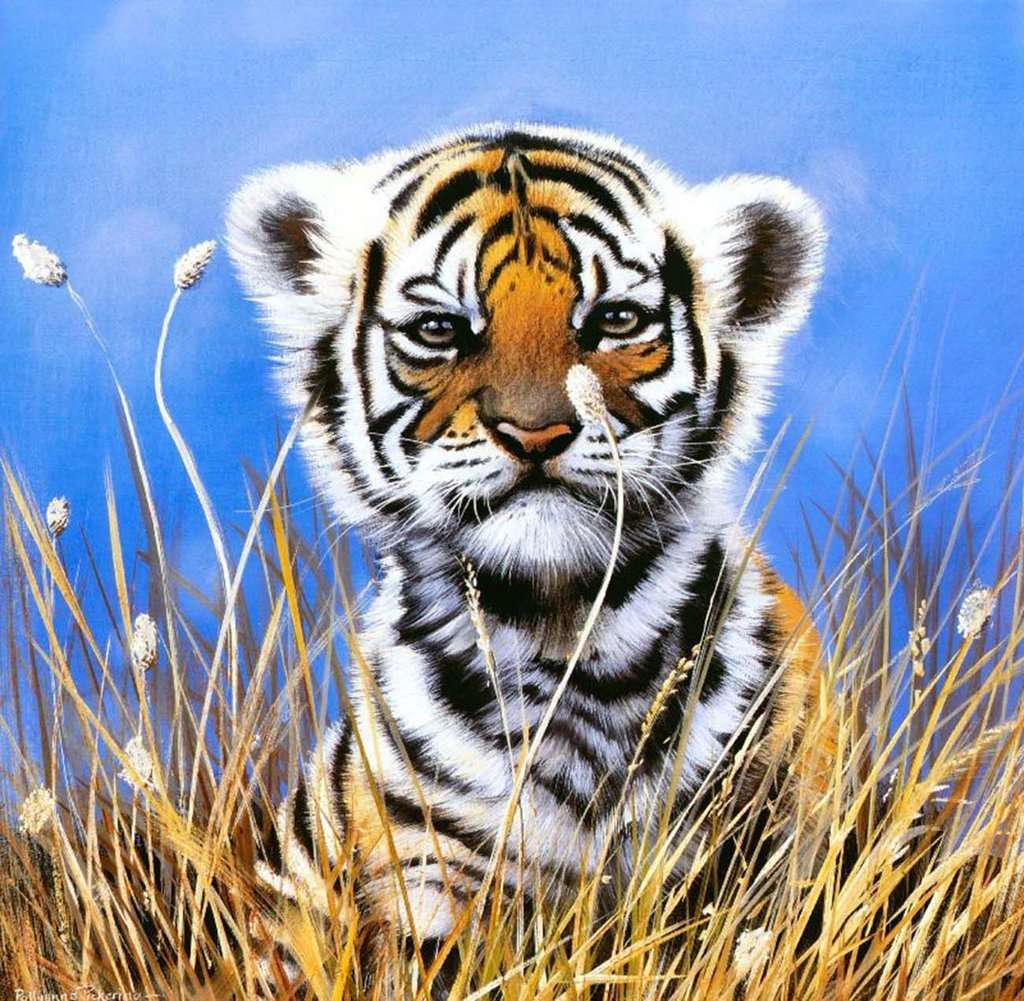 Kleiner neugieriger Tiger Diamond Painting