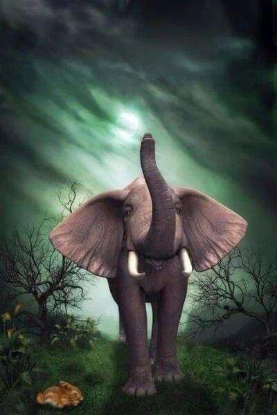 Kleiner Elefant und Hase Diamond Painting