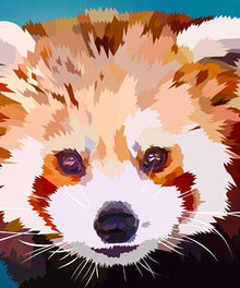 Kleiner Panda Portrait Diamond Painting