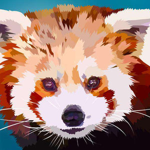Kleiner Panda Portrait Diamond Painting