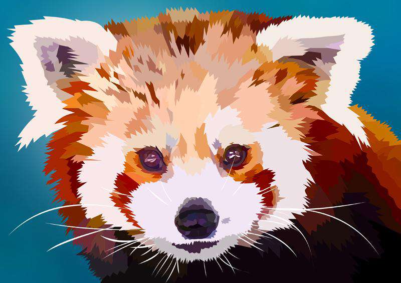 Kleiner Panda Portrait Diamond Painting