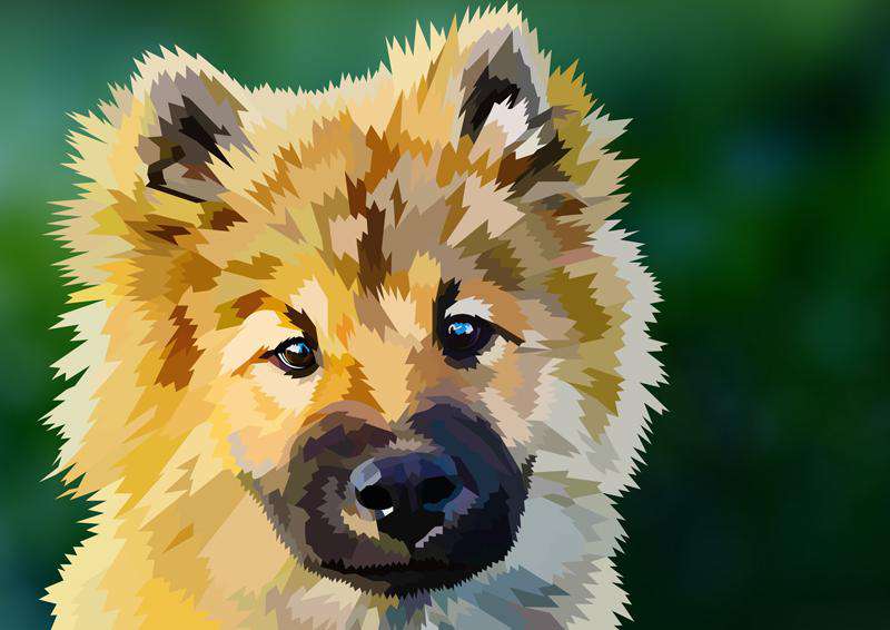 Kleiner Welpe Portrait Diamond Painting